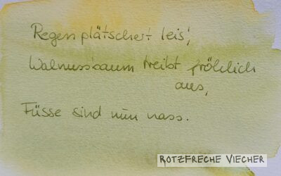 Der Rabe zum nassen Mai