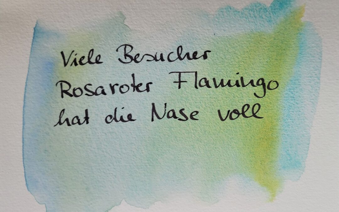 Ich auch, sagt der rosarote Flamingo