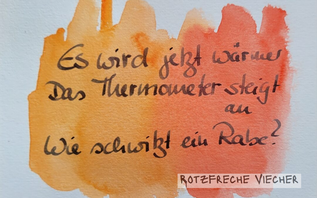 Es wird warm, meint der Rabe
