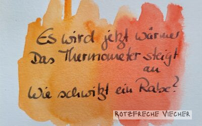 Es wird warm, meint der Rabe