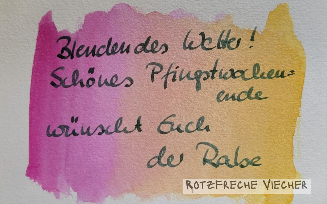 Frohe Pfingsten wünscht der Rabe