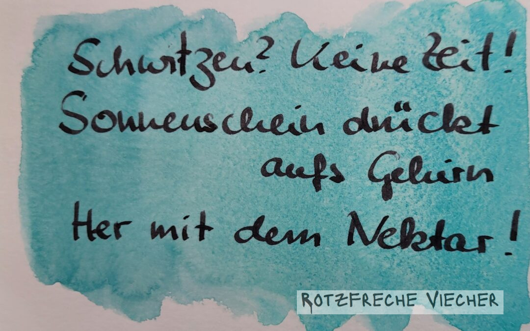 Schwitzen – keine Zeit, sagt der Kolibri