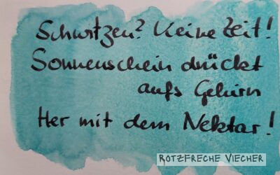 Schwitzen – keine Zeit, sagt der Kolibri