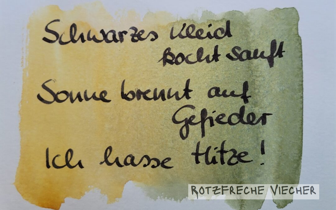 Schwarzes Kleid kocht sanft, sagt der Rabe