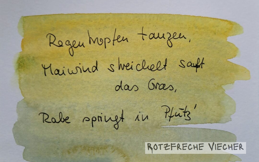 Der Rabe zum Mairegen