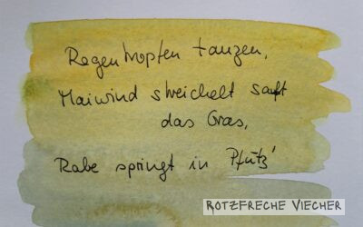 Der Rabe zum Mairegen