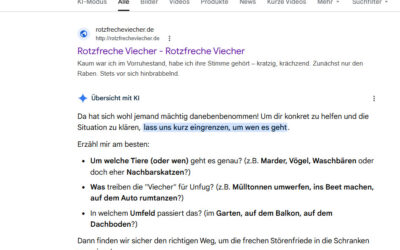 Holla! Die KI aber auch! Sagt die Contentmanagerin
