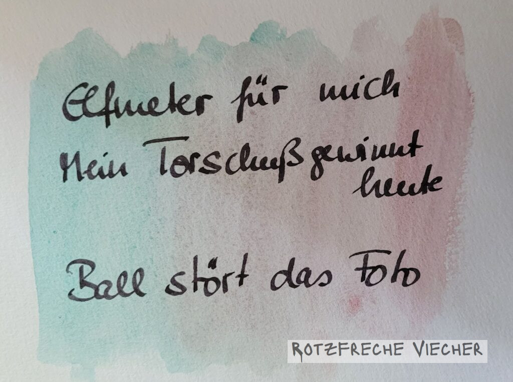 Elfmeter für mich Mein TOrschuss gewinnt heute Ball stört das Foto
