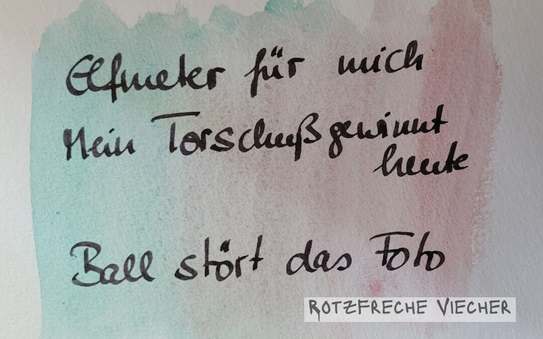 Kolibri schießt Elfmeter mit dem Ball um die Wette
