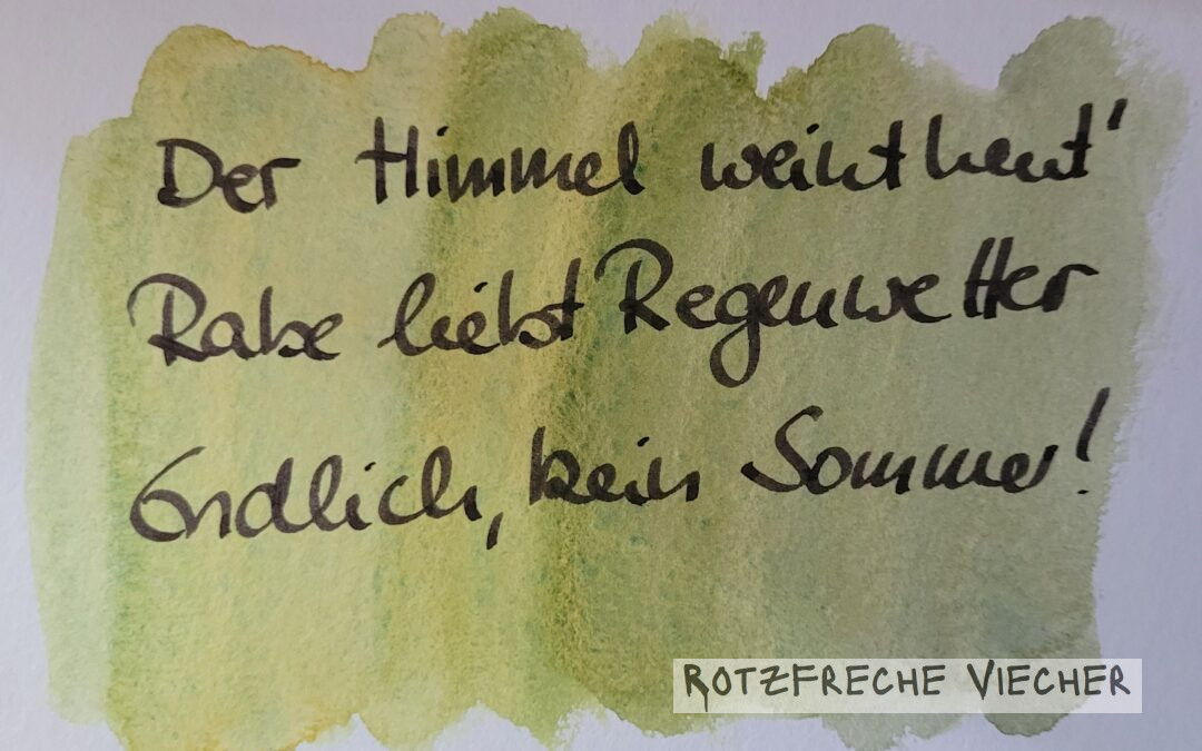 So leicht ist der Rabe glücklich zu machen